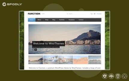 Woothemes Function WooCommerce Themes